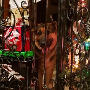 Meet your Posher, Mary